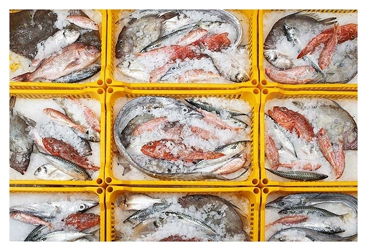 Brema I.M. S.p.a. Льдогенератор серии Muster 250W