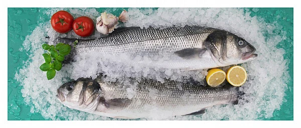 Льдогенератор Brema GB 1555A HC